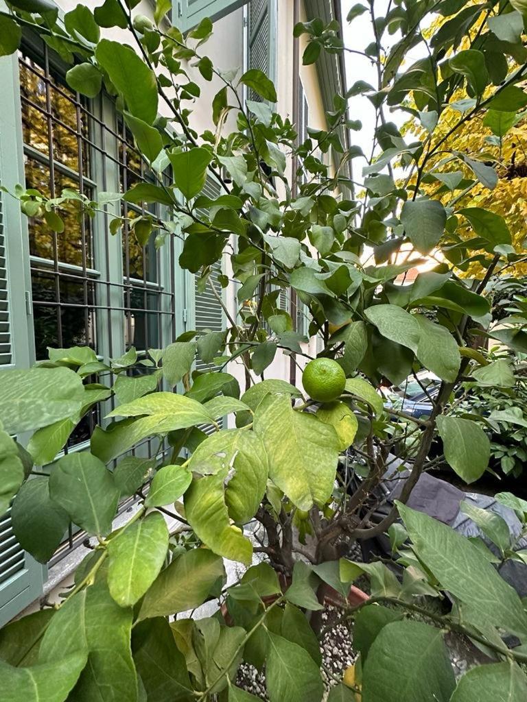 Apartamento Della Rocca Urban Relais Turín Exterior foto